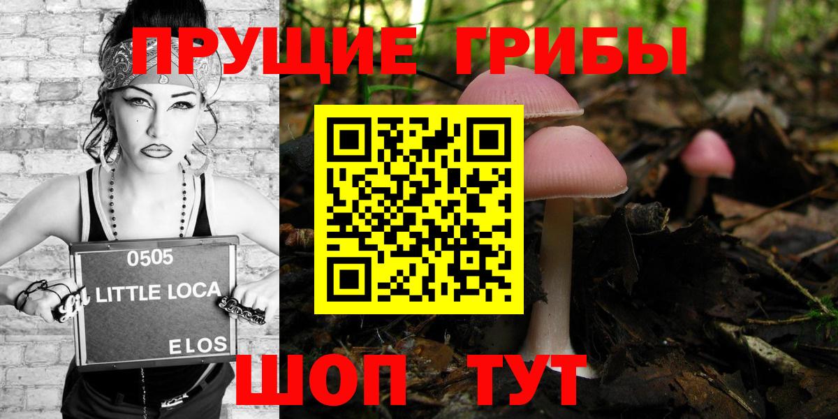 Галлюциногенные грибы прущие грибы  где купить   Асино  Галлюциногенные грибы прущие грибы  Вход с VPN 